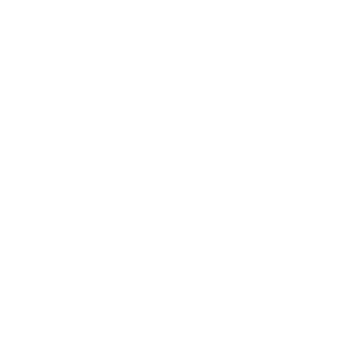 Corp Travel
